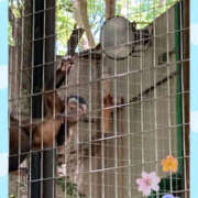 ヒメ日記 2026/05/20 08:22 投稿 木下 ママの婚活 CHIBA