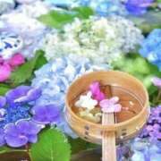 ヒメ日記 2026/06/04 09:32 投稿 木下 ママの婚活 CHIBA