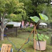 ヒメ日記 2026/06/23 09:42 投稿 木下 ママの婚活 CHIBA