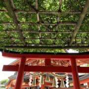 ヒメ日記 2026/08/28 11:02 投稿 木下 ママの婚活 CHIBA