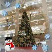 ヒメ日記 2024/12/13 09:27 投稿 南なぎさ セクシーキャット 神田店