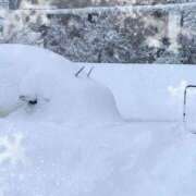 ヒメ日記 2025/01/12 09:27 投稿 南なぎさ セクシーキャット 神田店