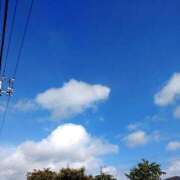 ヒメ日記 2025/02/06 09:21 投稿 南なぎさ セクシーキャット 神田店