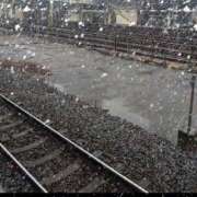 ヒメ日記 2025/03/19 09:23 投稿 南なぎさ セクシーキャット 神田店