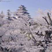 ヒメ日記 2025/04/14 09:20 投稿 南なぎさ セクシーキャット 神田店