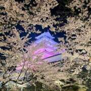 ヒメ日記 2025/04/24 09:22 投稿 南なぎさ セクシーキャット 神田店