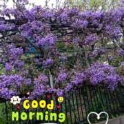 ヒメ日記 2025/04/29 09:16 投稿 南なぎさ セクシーキャット 神田店