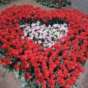 ヒメ日記 2025/05/02 09:32 投稿 南なぎさ セクシーキャット 神田店