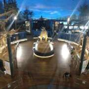 ヒメ日記 2025/05/08 09:24 投稿 南なぎさ セクシーキャット 神田店