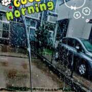 ヒメ日記 2025/06/11 09:22 投稿 南なぎさ セクシーキャット 神田店