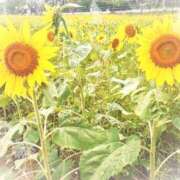 ヒメ日記 2025/08/06 09:22 投稿 南なぎさ セクシーキャット 神田店