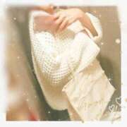 ヒメ日記 2025/11/14 15:03 投稿 南なぎさ セクシーキャット 神田店