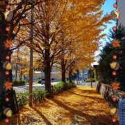 ヒメ日記 2025/11/20 09:24 投稿 南なぎさ セクシーキャット 神田店