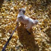 南なぎさ おはようございます。 セクシーキャット 神田店