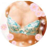 ヒメ日記 2026/01/29 09:23 投稿 南なぎさ セクシーキャット 神田店