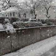 ヒメ日記 2026/02/08 09:56 投稿 南なぎさ セクシーキャット 神田店