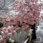 ヒメ日記 2026/02/09 09:25 投稿 南なぎさ セクシーキャット 神田店