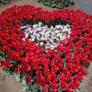 ヒメ日記 2026/03/15 15:21 投稿 南なぎさ セクシーキャット 神田店