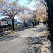 ヒメ日記 2026/04/09 15:59 投稿 南なぎさ セクシーキャット 神田店