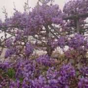 南なぎさ お礼 セクシーキャット 神田店