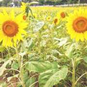 ヒメ日記 2026/07/21 16:05 投稿 南なぎさ セクシーキャット 神田店
