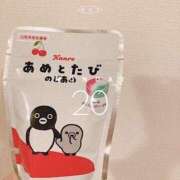 ヒメ日記 2025/10/20 16:15 投稿 神田りり セクシーキャット 神田店