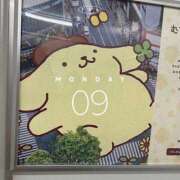 ヒメ日記 2026/02/09 16:10 投稿 神田りり セクシーキャット 神田店