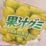 ヒメ日記 2026/04/25 15:23 投稿 神田りり セクシーキャット 神田店