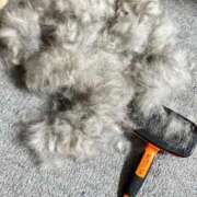 ヒメ日記 2026/02/17 19:06 投稿 ハズキ 大宮ウィング