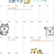 ヒメ日記 2026/02/24 13:15 投稿 ハズキ 大宮ウィング