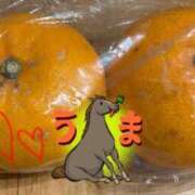 ヒメ日記 2026/03/20 16:25 投稿 ハズキ 大宮ウィング