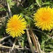 ヒメ日記 2026/03/25 20:25 投稿 ハズキ 大宮ウィング