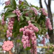 ヒメ日記 2026/04/05 15:35 投稿 ハズキ 大宮ウィング