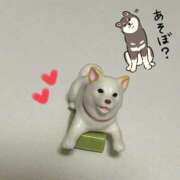 ヒメ日記 2026/05/20 13:05 投稿 ハズキ 大宮ウィング