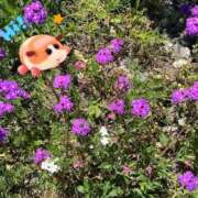 ハズキ みんな違ってみんないい( 'ᄊ')❤︎ 大宮ウィング