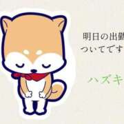 ハズキ 🙇🏻‍♀️՞ 大宮ウィング