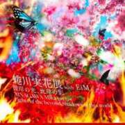 ヒメ日記 2025/01/18 04:44 投稿 つばき 京都ホテヘル倶楽部