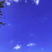 ヒメ日記 2026/05/12 11:47 投稿 めぐみ One More奥様　町田相模原店