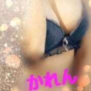 ヒメ日記 2025/01/25 09:29 投稿 優木かれん セクシーキャット 神田店