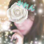 ヒメ日記 2025/03/15 10:27 投稿 優木かれん セクシーキャット 神田店