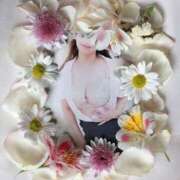 ヒメ日記 2025/03/29 08:35 投稿 優木かれん セクシーキャット 神田店