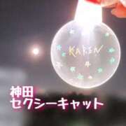 ヒメ日記 2025/10/11 09:01 投稿 優木かれん セクシーキャット 神田店