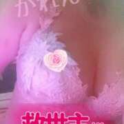 ヒメ日記 2025/12/14 09:05 投稿 優木かれん セクシーキャット 神田店