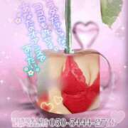 ヒメ日記 2025/12/16 08:30 投稿 優木かれん セクシーキャット 神田店