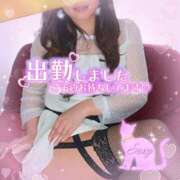 ヒメ日記 2026/02/25 08:30 投稿 優木かれん セクシーキャット 神田店