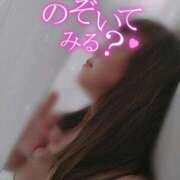 ヒメ日記 2026/04/05 09:07 投稿 優木かれん セクシーキャット 神田店