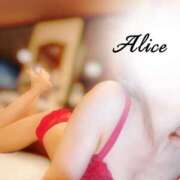 ヒメ日記 2025/05/26 08:54 投稿 白雪 ありす キングアンドクイーン