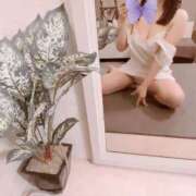 ヒメ日記 2026/02/12 10:05 投稿 白花　結 キングアンドクイーン