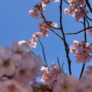 ヒメ日記 2026/03/26 19:34 投稿 白花　結 キングアンドクイーン