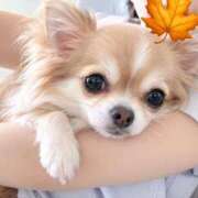 ヒメ日記 2026/10/06 14:21 投稿 白花　結 キングアンドクイーン